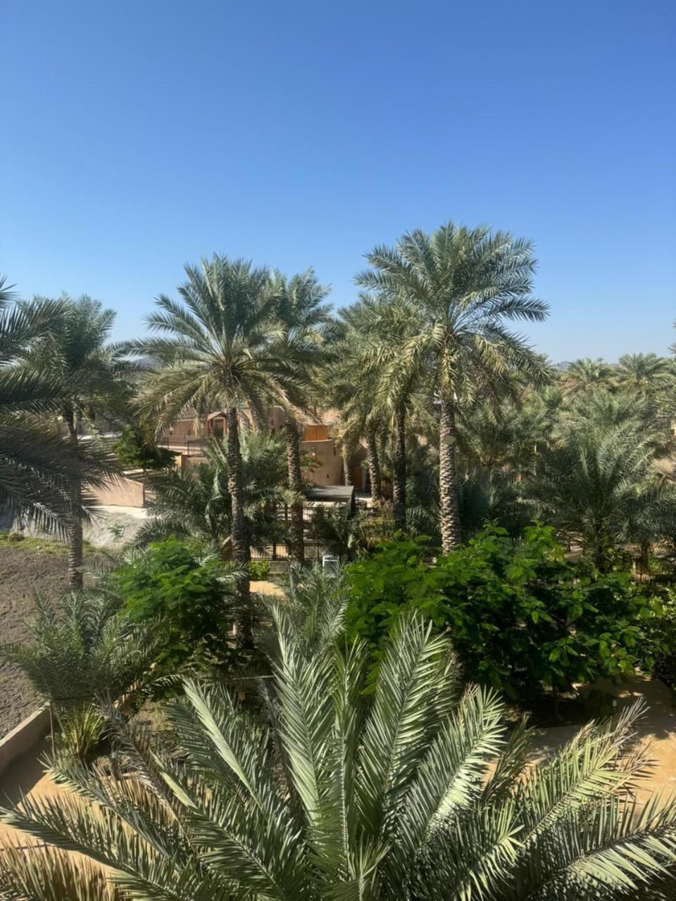 Jawharat Alaqar Inn نزل جوهرة العقر Назва Экстерьер фото